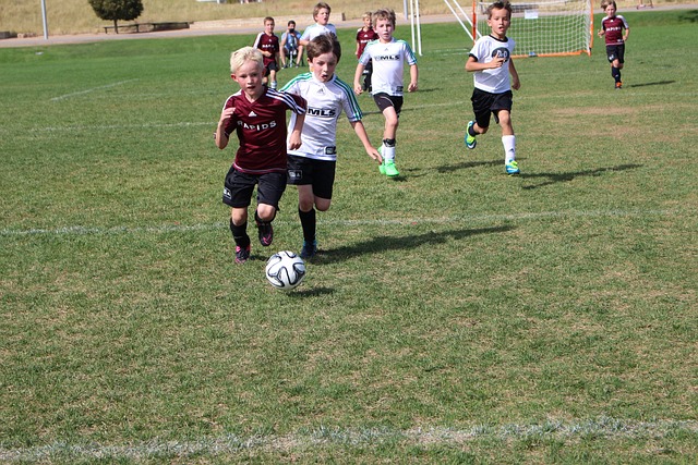 ag九游会国际官网